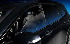 Coche negro.